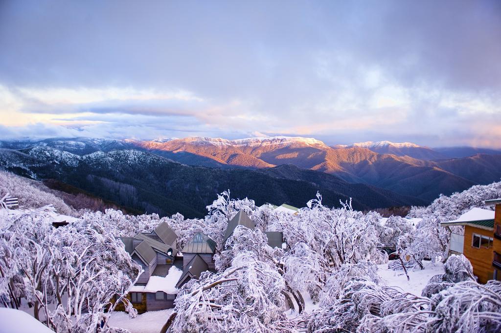 Chalet Apartments - Mt Buller Apartment Rentals Маунт-Буллер Номер фото